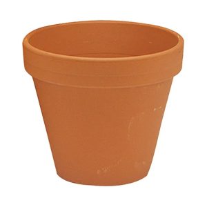 German Standard Pot – Border Concepts – Grainte – 5″