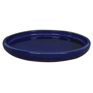 Plant Saucer – Blue – 9.75″