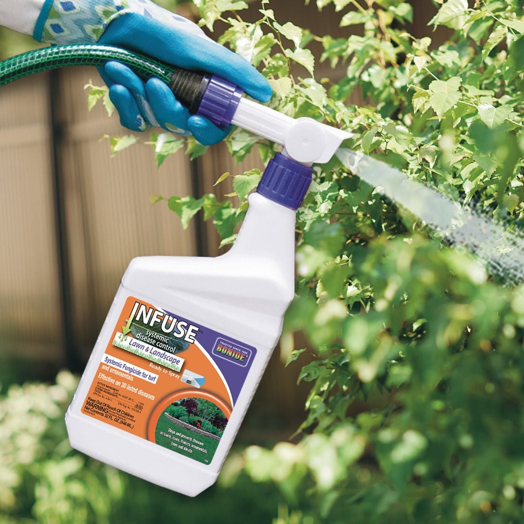 Systemic Control Infuse Systemic Disease Control - Bonide - 32 oz | Mahoney's Garden Center