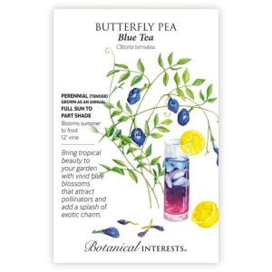 Butterfly Pea Seeds – Botanical Interests – Blue Tea