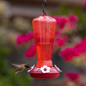 Hollyhock Hummingbird Feeder – More Birds – 25 oz