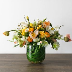 Spring Has Sprung
