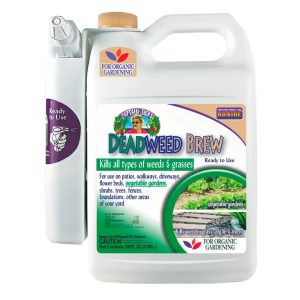 Captain Jack’s Deadweed Brew Spray- Bonide – 1 gal
