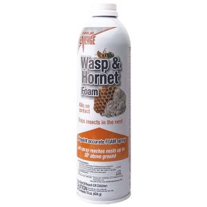 Revenge Wasp & Hornet Foam Aerosol – Bonide – 15 oz