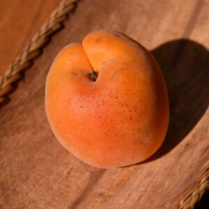 Apricot – Dwarf Goldcot – #7 Container