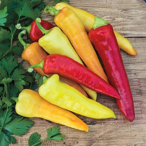 Pepper – Sweet Banana – 4″ Pot