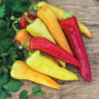 Pepper – Sweet Banana – 4″ Pot