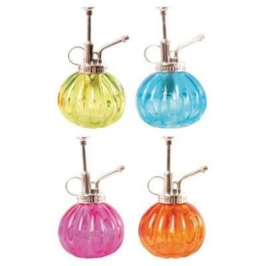 Plant Mister – Assorted