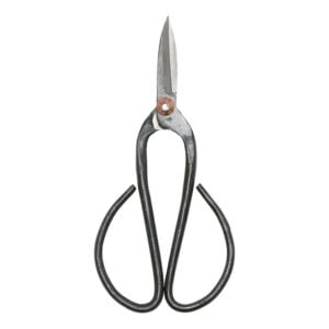 Bonsai Pruners – Large