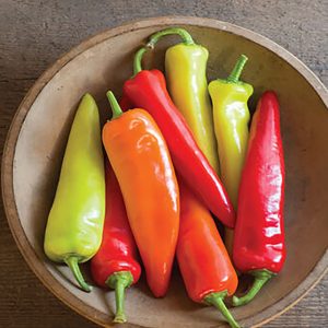 Pepper – Hungarian Hot Wax – 4″ Pot