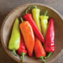 Pepper – Hungarian Hot Wax – 4″ Pot