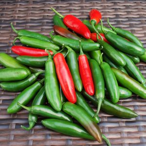 Pepper – Serrano – 4″ Pot