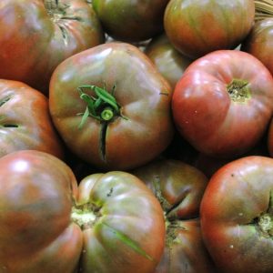 Tomato – Cherokee Purple – 4″ Pot