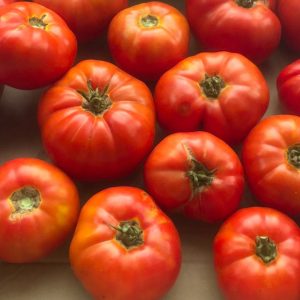 Tomato – Ramapo – 4″ Pot