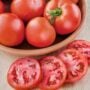 Tomato – Better Bush – 6.5″ Pot