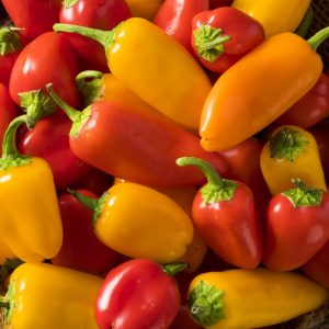 Pepper – Lunchbox Mix – 4″ Pot