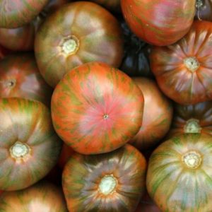 Tomato – Chocolate Stripes – 4″ Pot