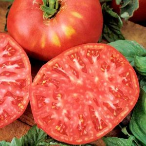 Tomato – Brandywine Pink – 4″ Pot