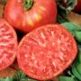 Tomato – Brandywine Pink – 4″ Pot