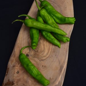 Pepper – Shishito – 4″ Pot