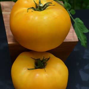 Tomato – Brandywine Yellow – 4″ Pot