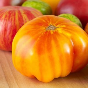 Tomato – Big Rainbow – 4.5″ Pot
