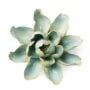 Water Lily Ceramic Flower – Chive – Robins Egg Blue – 5.75″ x 2.75″