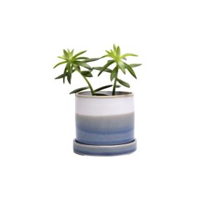 Minute Pot With Saucer - Chive - Blue Layers - 3"