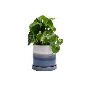 Minute Pot With Saucer - Chive - Blue Layers - 5"