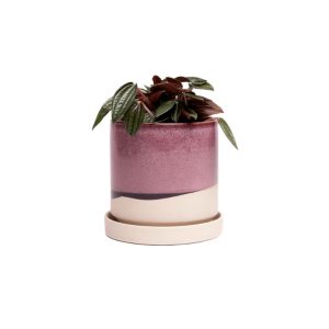 Minute Pot With Saucer - Chive - Burgundy - 5"