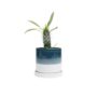 Minute Pot With Saucer - Chive - Green-Blue - 5"