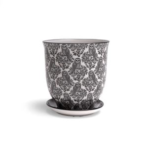 Liberte Pot With Saucer - Chive - Owls - 3.25"