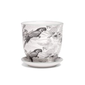 Liberte Pot With Saucer - Chive - Parrot - 3.25"