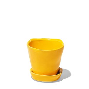 Tika Pot With Saucer - Chive - Meadowlark Yellow - 3"