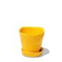 Tika Pot With Saucer - Chive - Meadowlark Yellow - 3"