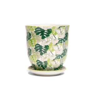 Liberte Pot With Saucer - Chive - Monstera - 4.25"