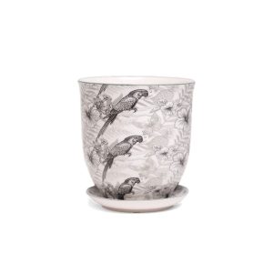 Liberte Pot With Saucer - Chive - Parrot - 4.25"