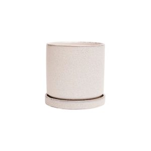 Minute Pot With Saucer – Chive – Ivory Speckles – 3″