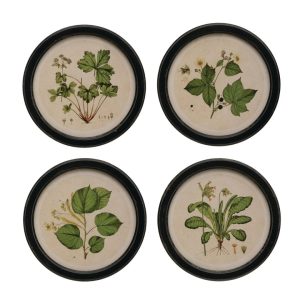 Framed Botanical Print – Assorted – 13.8″