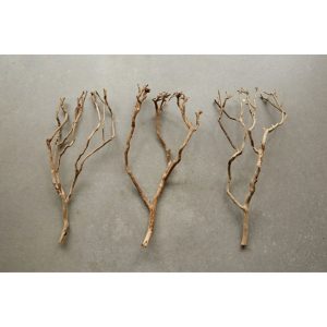 Natural Tea Tree Branch – 27.5″