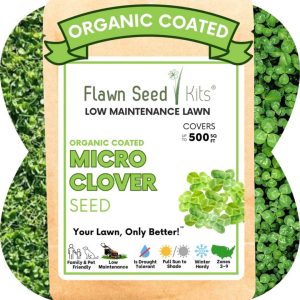 Micro Clover – Flawn Seed – 500 SQ FT