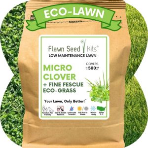 Micro Clover Low Mow – Flawn Seed – 500 SQ FT