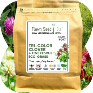 Tri Color Clover Low Mow – Flawn Seed – 500 SQ FT