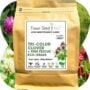 Tri Color Clover Low Mow – Flawn Seed – 500 SQ FT