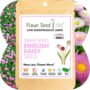 English Daisy Pouch – Flawn Seed – 500 SQ FT