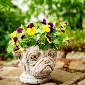 Pug Planter – Unique Stone – Ancient Age – 6″ x 6″ x 6″