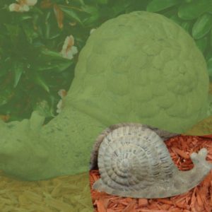 Small Snail Statue – Unique Stone – Ancient Age – 4″ x 7″