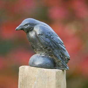 Small Raven Statue – Campania – Nero Nuovo – 5″ x 2.5″ x 4.25″