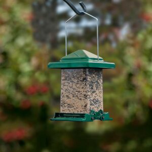 Vista Squirrel Resistant Feeder - Green - 8.5" x 8.5" x 12"