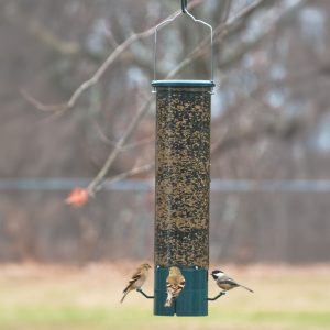 Magnet Squirrel Resistant Feeder - Green -7" x 7" 20.5"
